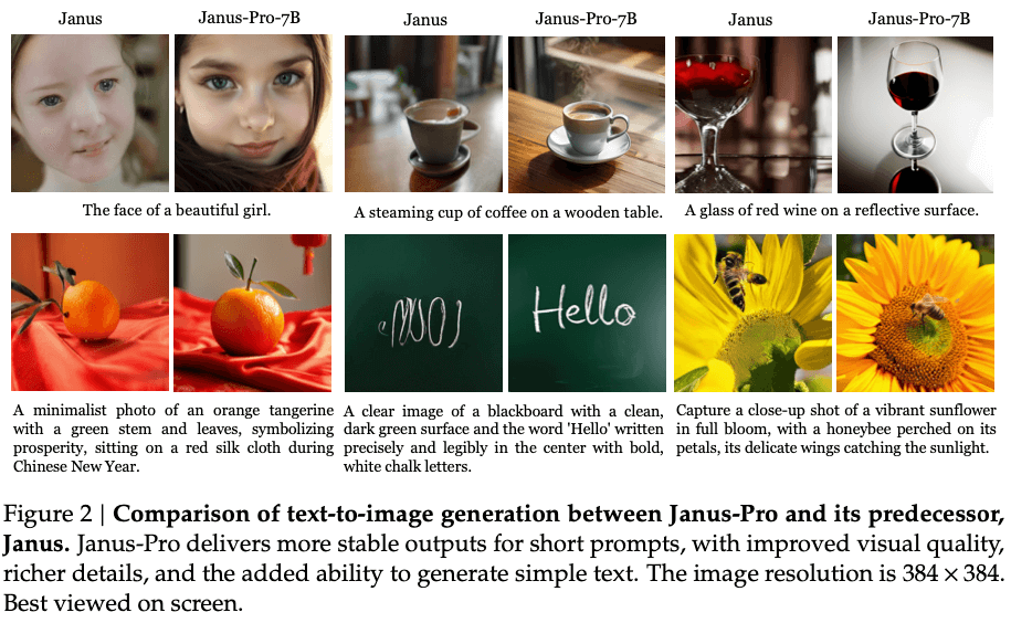 Measuring Janus Pro success